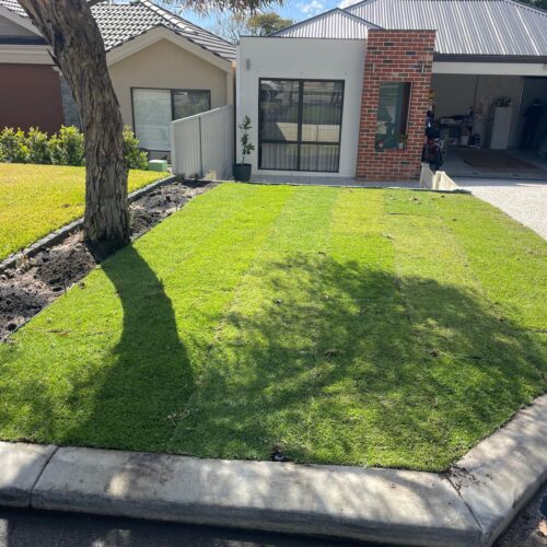 Front yard